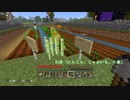 建築の匠は最果てへ【Minecraft】６