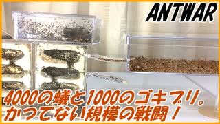 4000のアリvs1000のゴキブリ～数に勝る戦略～
