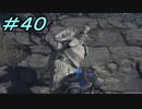 【ダークソウル３】熱い魂(ソウル)を燃やし尽くせ！！ #４０【夏休みの宿題】