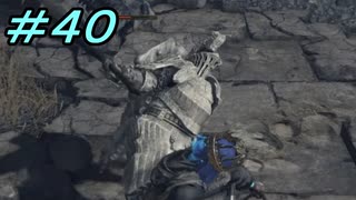 【ダークソウル３】熱い魂(ソウル)を燃やし尽くせ！！ #４０【夏休みの宿題】