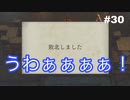 【実況】ファイアーエムブレム風花雪月part30