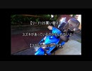 リード125から買い替えたスウィッシュリミテッドの感想を述べるよ