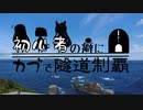 【東北姉妹車載】初心者の癖にカブで隧道制覇 12本目