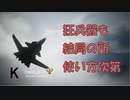 Ace Combat 7 Multiplayer288  バトルロイヤル  Su-47 + QAAM
