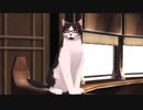 【実況】テイルズオブエクシリア２を泣きながら初プレイ【part.22】