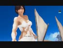 DoAX Venus Vacation :: Nagisa Gravure Panel (Fluffy Foam SSR) with lotions