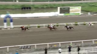 第42回建依別賞 ケイマ