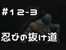 【実況】主を救うために【SEKIRO：隻狼】12日目 part3