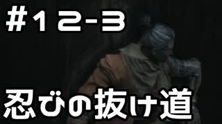【実況】主を救うために【SEKIRO：隻狼】12日目 part3
