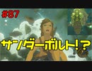 【趣味】拙いですがパンツでマスターになる【ゼルダの伝説ブレスオブザワイルド】pants87