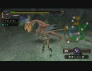 【高速】MHP2G実況プレイ【密林編】