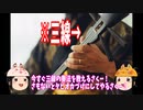 【ゆっくり解説】沖縄の三線の奏法