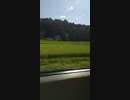 【偽SZ姉貴】幻想郷ww