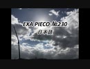 EXA PIECO230日本語