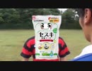 先輩！セスキッス！
