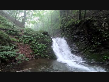 東北ずん子とgungunGUNMA釣り修行#9「梅雨の源流釣行」