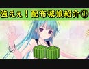 【ゆっくり解説】強えぇ！配布城娘紹介①～【夏】名古屋城～【御城プロジェクト:RE】