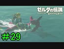 【実況】見落としが多い勇者の冒険part29【ブレスオブザワイルド】