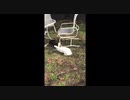 Long Island Bird and Exotics Veterinary Clinic