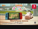 Nintendo Switch新作『牧場物語 再会のミネラルタウン』紹介映像 第2弾