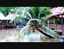【ベトナム旅行記・Vietnam Travel】ホーチミンの釣り堀を観察にバスで行く！＠ミニストップ(コンビニ)でのフルーツ等の食レポあり♪【VLOG・RX100M6＆Pixel 3 XL】