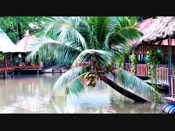 【ベトナム旅行記・Vietnam Travel】ホーチミンの釣り堀を観察にバスで行く！＠ミニストップ(コンビニ)でのフルーツ等の食レポあり♪【VLOG・RX100M6＆Pixel 3 XL】
