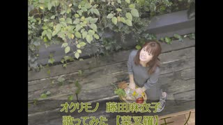 オクリモノ　藤田麻衣子　歌ってみた　【菜叉羅】