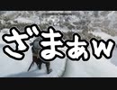 【実況】新約・加速するスカイリムの旅 Page406
