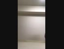 ダイヤモンド パールのなみのりで踊ってみた