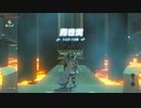 【ゼル伝BotW】100年の眠りから目覚めた勇者の冒険９０【もちまる】