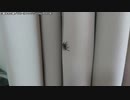 【生海月】なまくらじお【2019.8.29】
