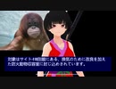 SCP-2984 - ガール・オン・ファイア
