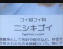 [生放送]にしきがおコンテスト2019　全作品振り返り放送（第3夜）
