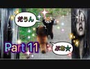 【実況】サイレントヒル ダウンプアやろうぜ！　その１１ッ！