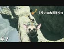 【実況】人喰いの大鷲トリコ　#7