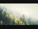 Foggy Winter 4K Living Background　仁部聡和