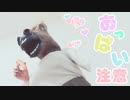 ぐっすり眠れる耳かきボイス24【おっぱい注意】