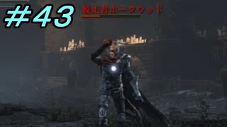 【ダークソウル３】熱い魂(ソウル)を燃やし尽くせ！！ #４３【夏休みの宿題】
