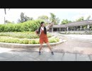 【柚凪】ハッピーシンセサイザ  踊ってみた