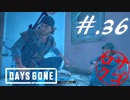 【DaysGone】ヘタレゴーン【初見実況】#.36