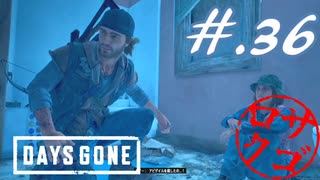 【DaysGone】ヘタレゴーン【初見実況】#.36