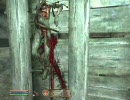 PC版Oblivion クエストMOD-『帝都の泥棒』 最終指令-帰還