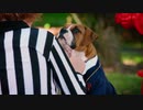 Pup Academy (TV Series 2019– )