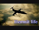 Ace Combat 7 Multiplayer297  バトルロイヤル  F-104C + HPAA
