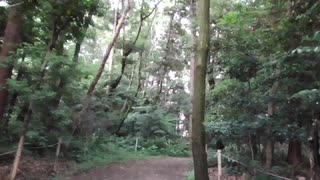 低級家具日記　2019年6月鷲宮神社その2