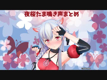 夜桜たま鳴き声まとめ