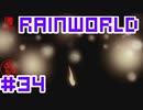 命がけのサバイバル！RainWorld実況するで#34【Switch/日本語版】