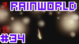 命がけのサバイバル！RainWorld実況するで#34【Switch/日本語版】