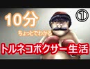 【はじめの一歩2】10分ちょっとでわかるトルネコボクサー生活①【VICTORIOUS ROAD】