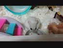 盗撮してたら襲われたwww